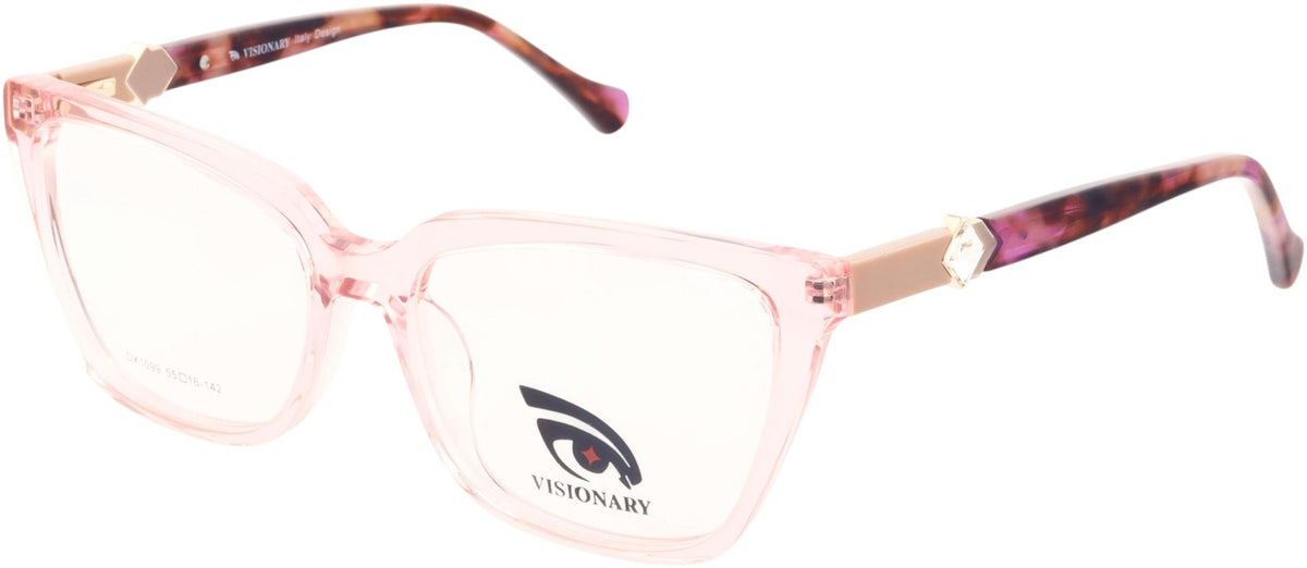 Visionary DX1099
