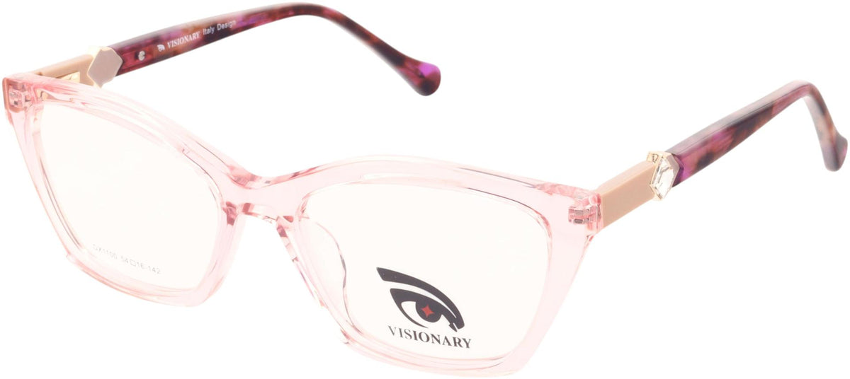 Visionary DX1100