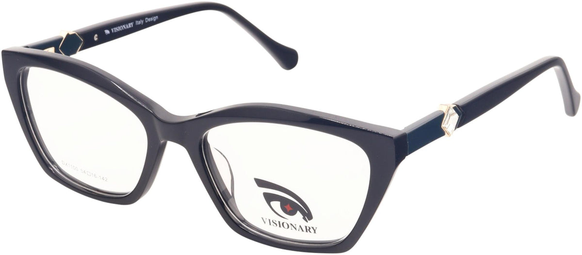 Visionary DX1100