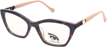 Visionary DX1100