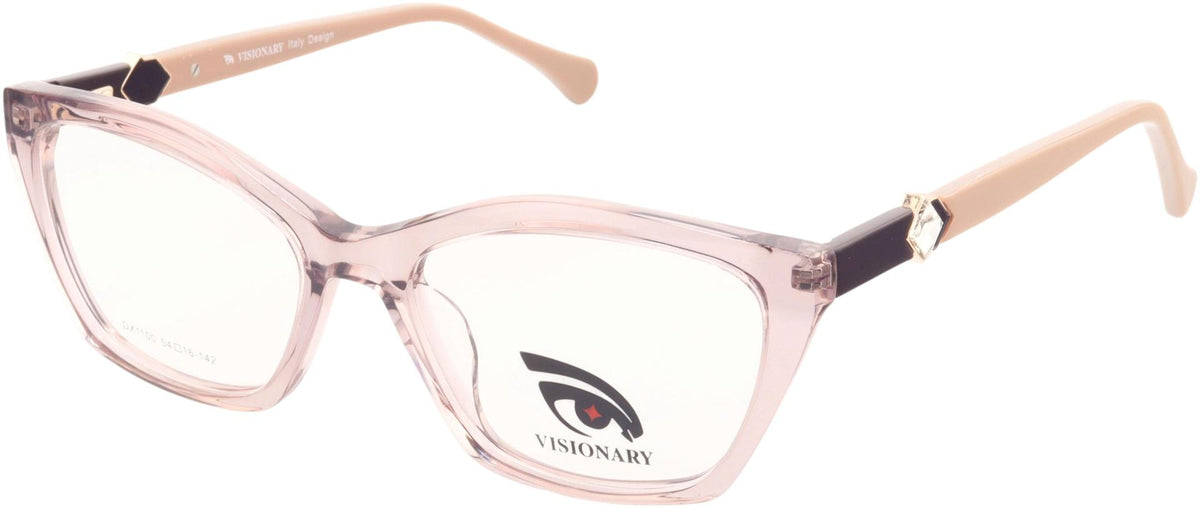 Visionary DX1100