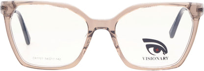 Visionary DX1101