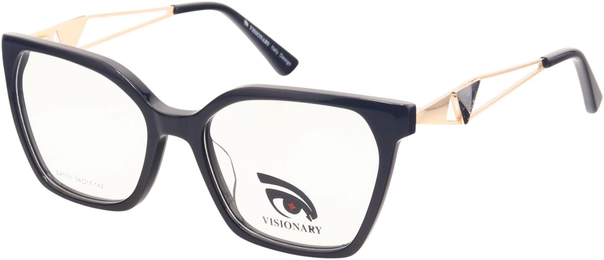 Visionary DX1101