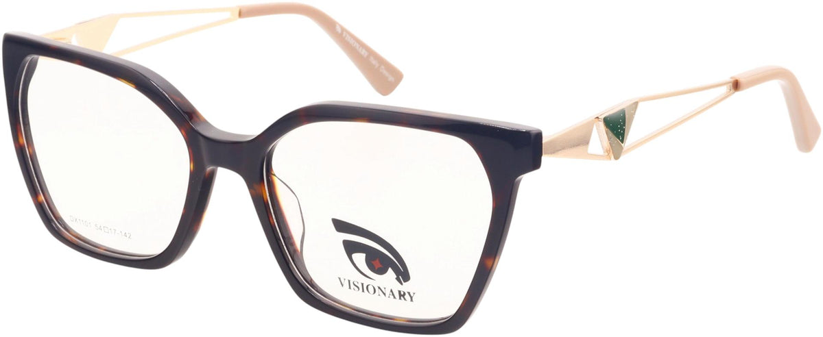 Visionary DX1101