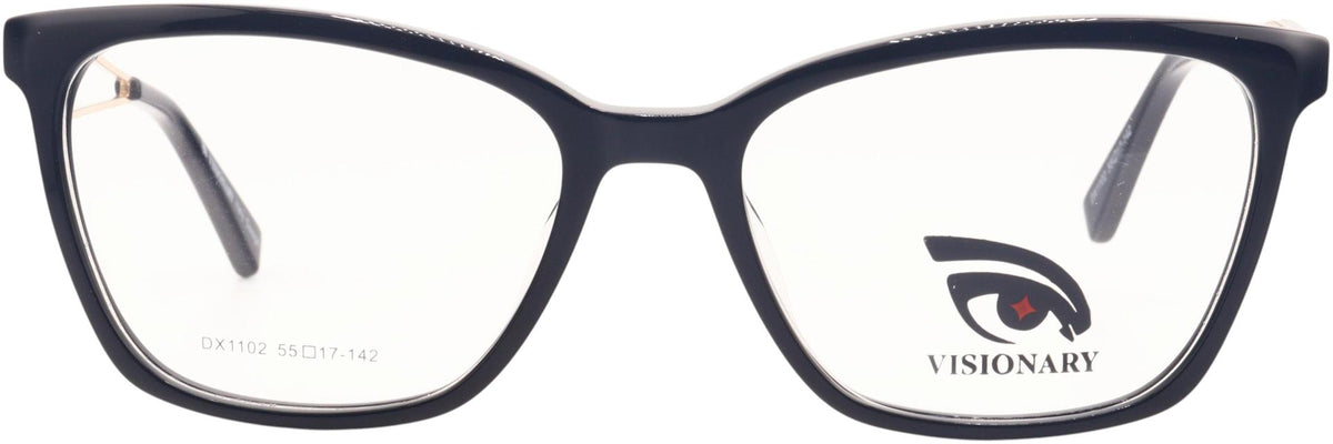 Visionary DX1102
