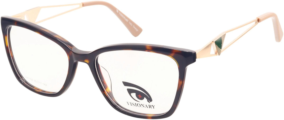 Visionary DX1102