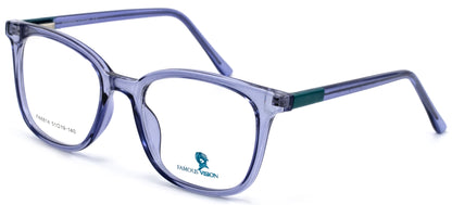 Famous VisionFA6814