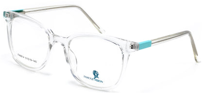 Famous VisionFA6814