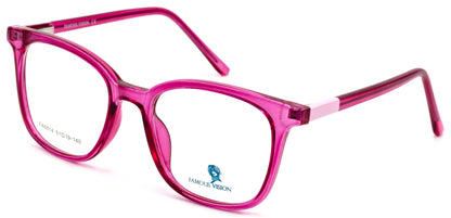 Famous VisionFA6814