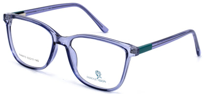 Famous VisionFA6815