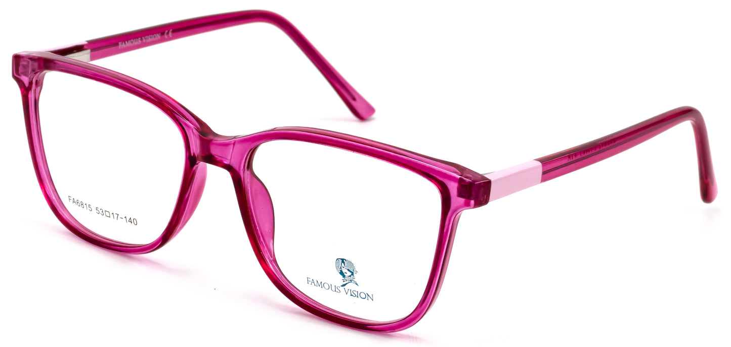 Famous VisionFA6815