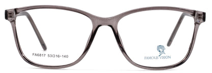 Famous VisionFA6817