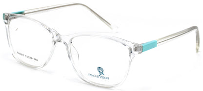 Famous VisionFA6817