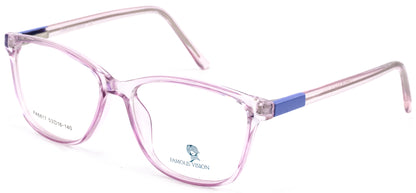 Famous VisionFA6817