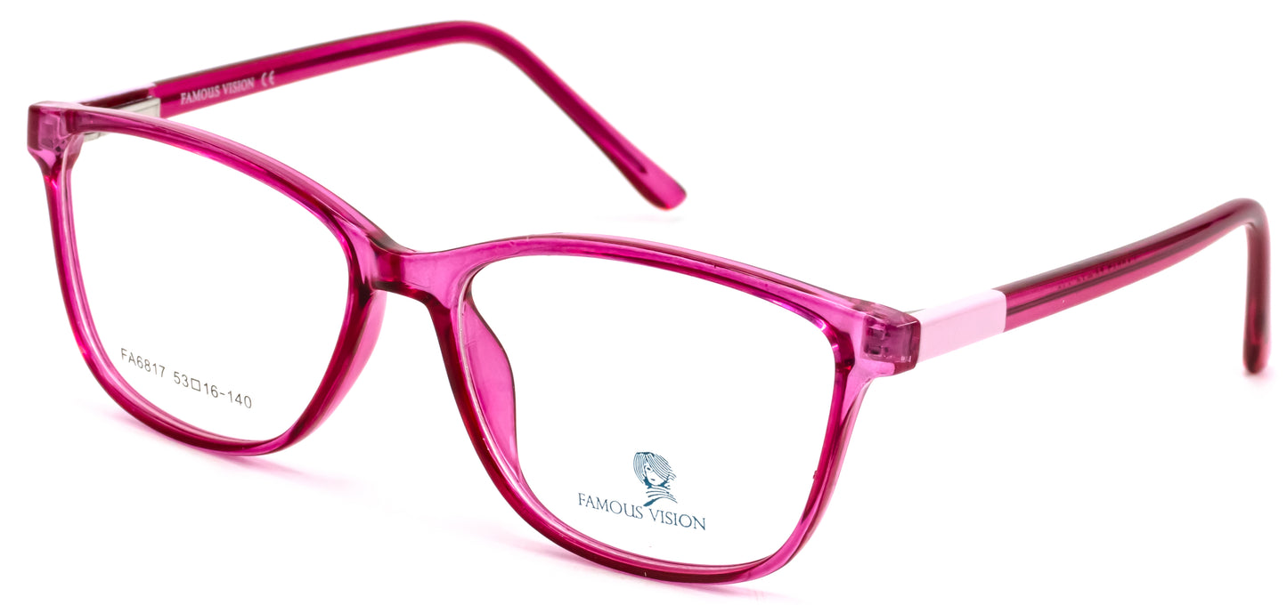 Famous VisionFA6817