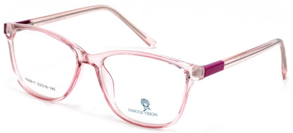 Famous VisionFA6817