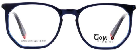 Gamma Homme GAHG6239