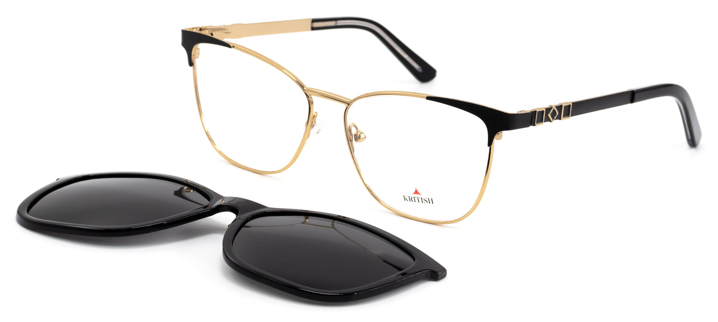 Kritish MLT24010