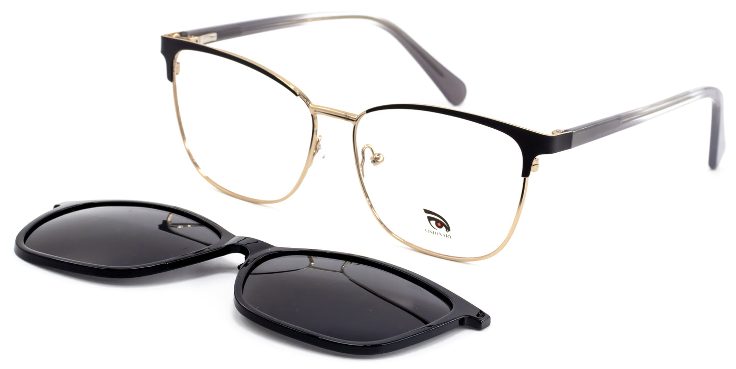 Visionary MLT24022