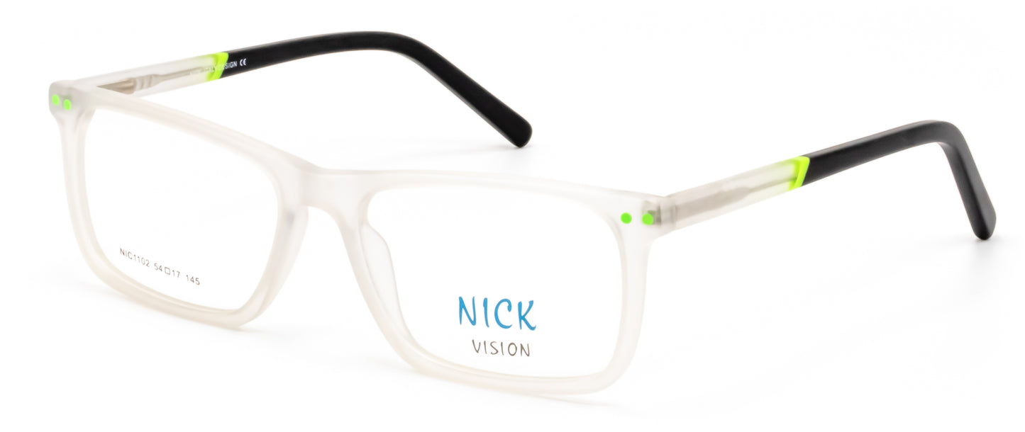 NIC1102