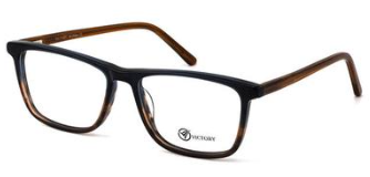 Victory SN6006
