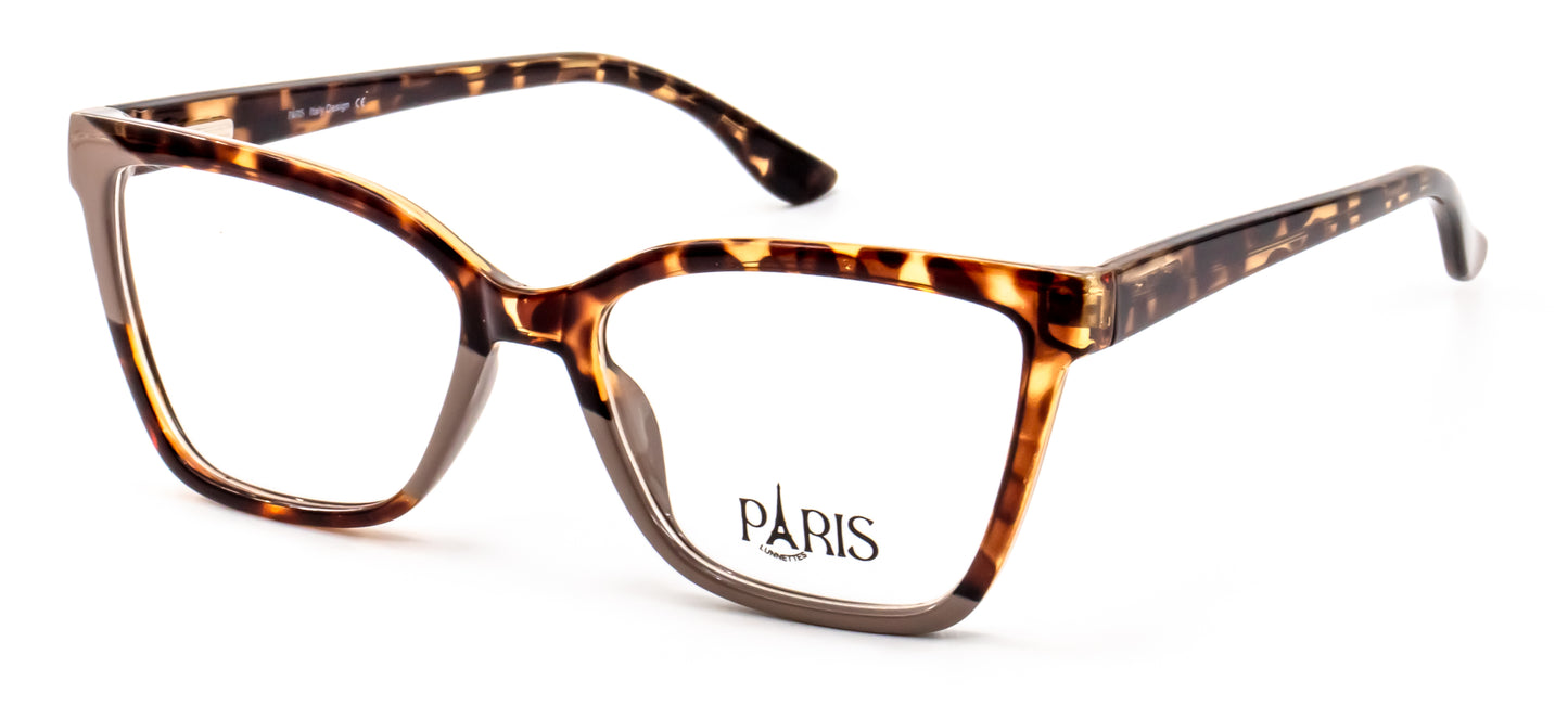 Paris TD0007