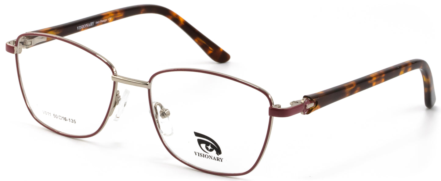 Visionary V011