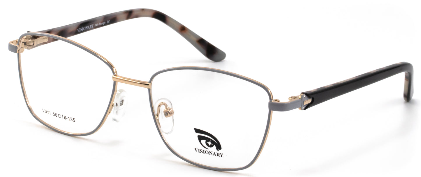 Visionary V011