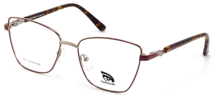 Visionary V021