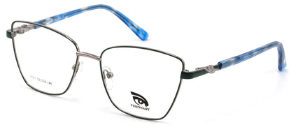 Visionary V021