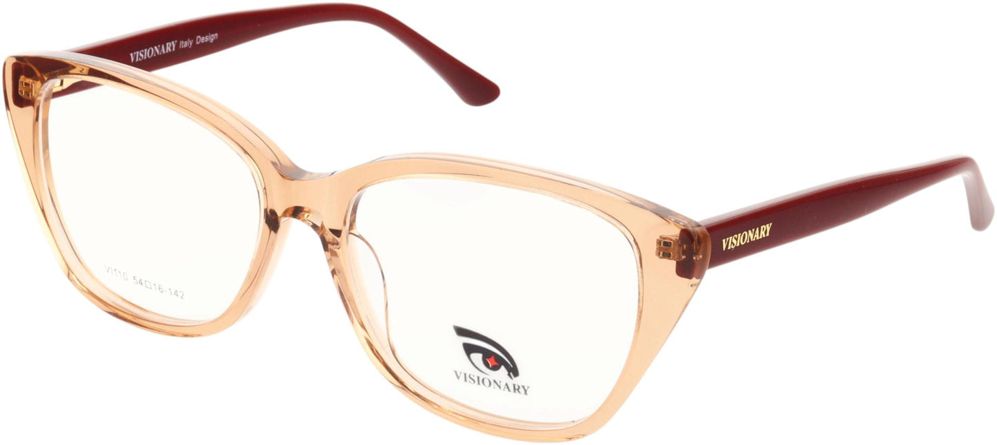 Visionary VI110