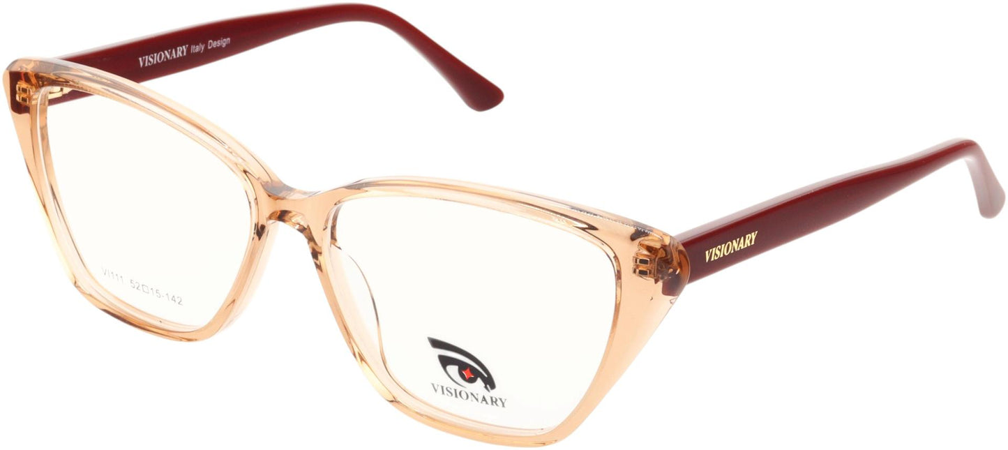 Visionary VI111