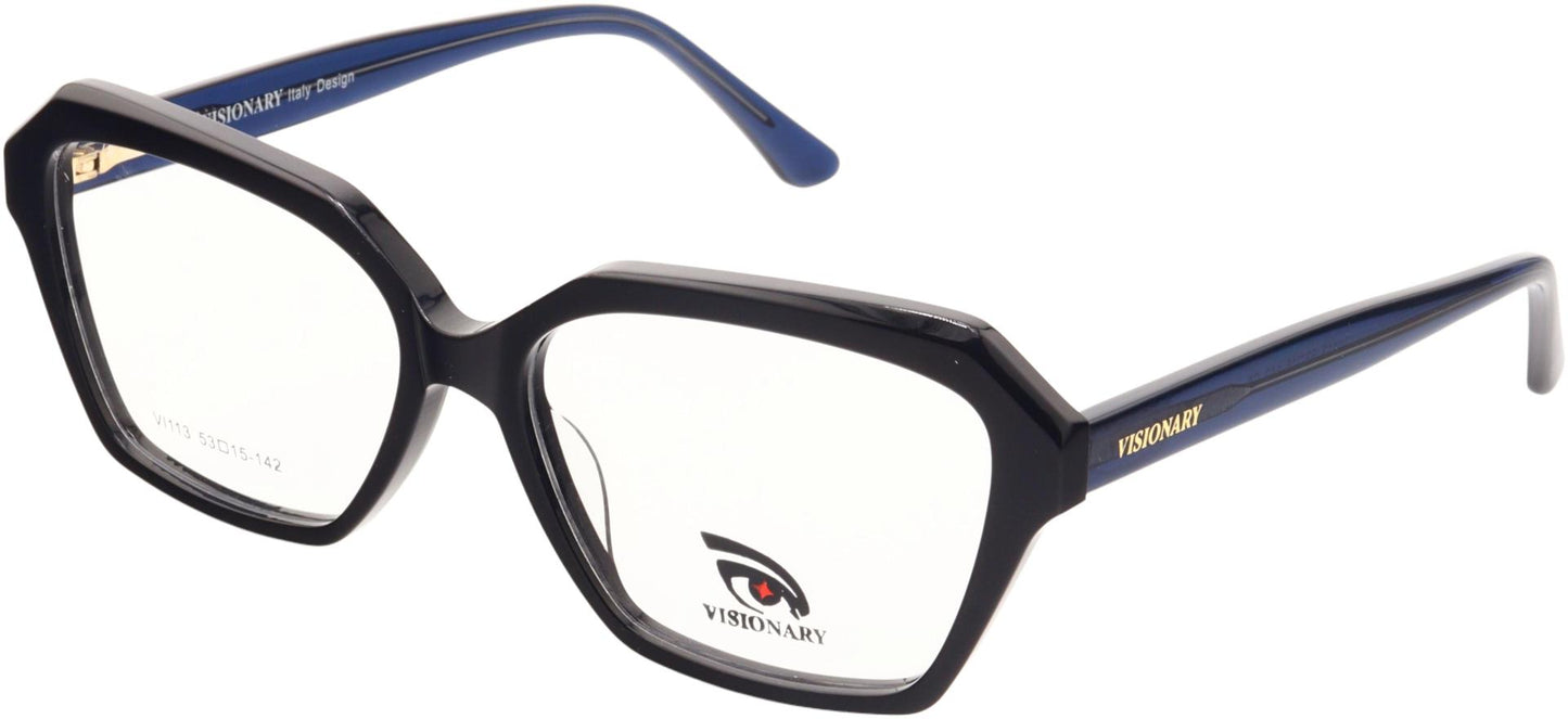 Visionary VI113