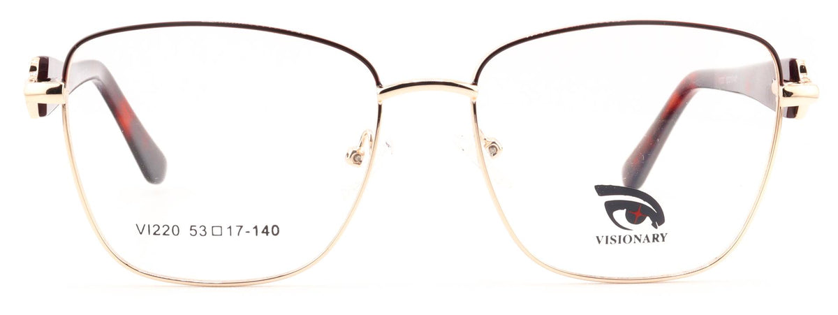 Visionary VI220