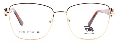 Visionary VI220