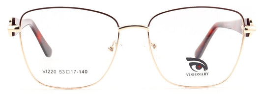 Visionary VI220