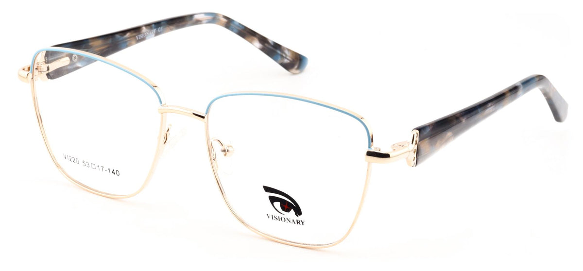 Visionary VI220