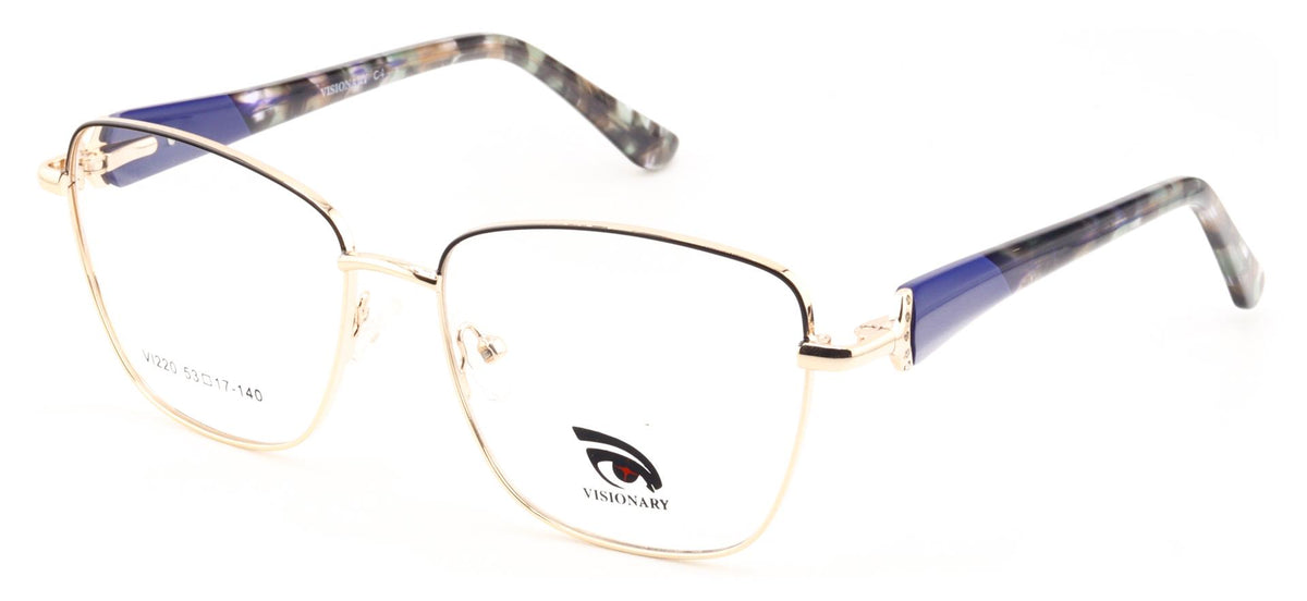 Visionary VI220