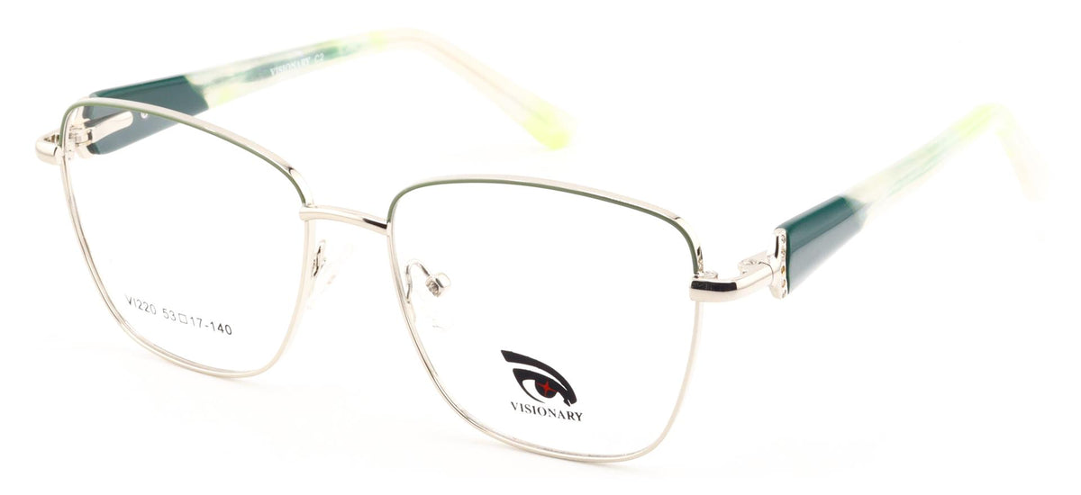 Visionary VI220