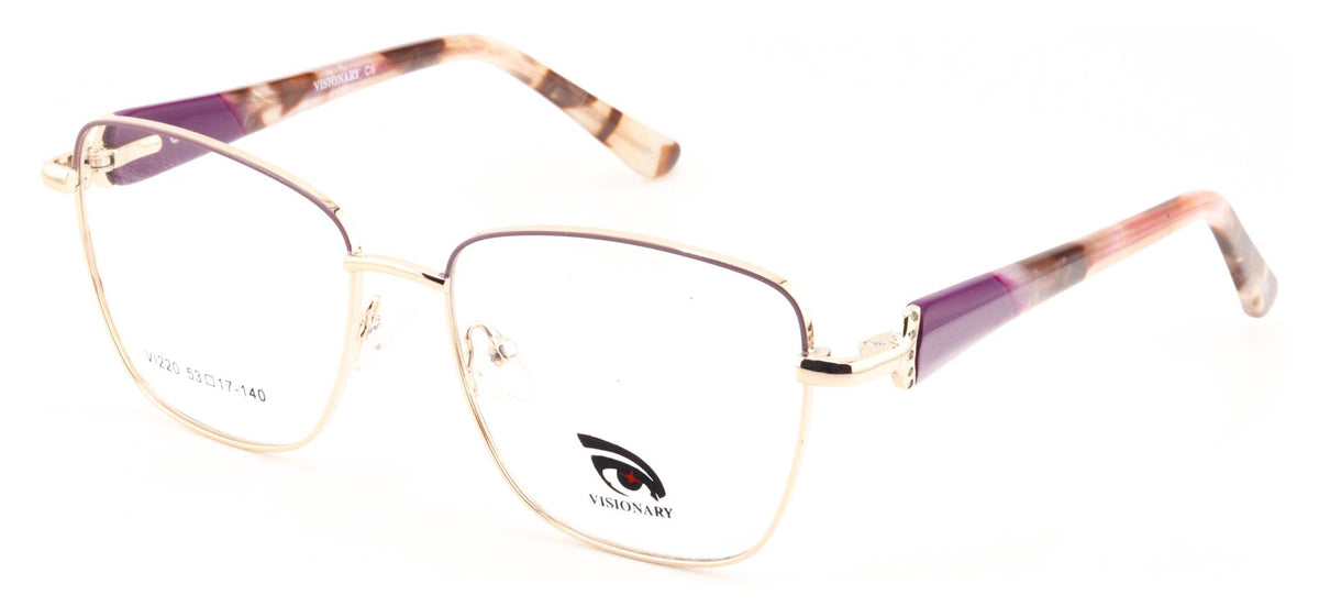 Visionary VI220