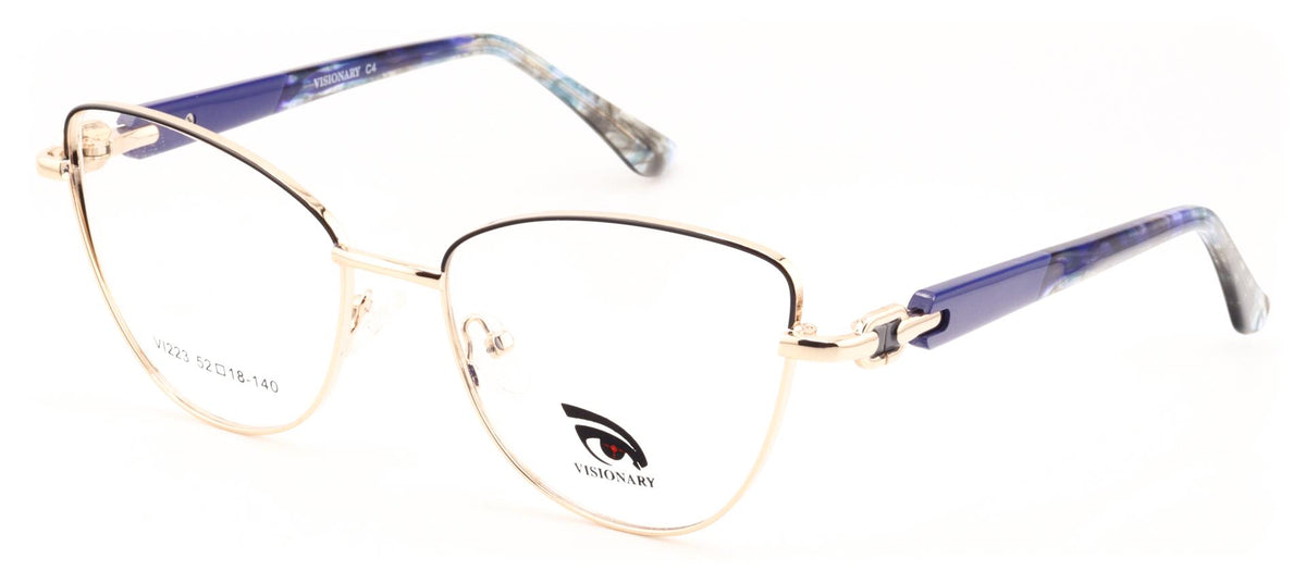 Visionary VI223