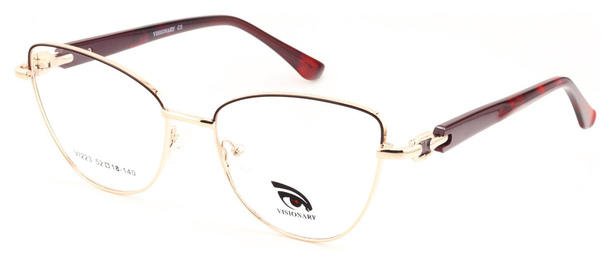 Visionary VI223