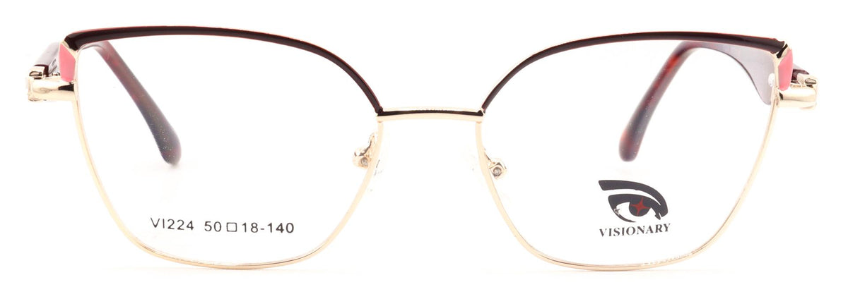 Visionary VI224