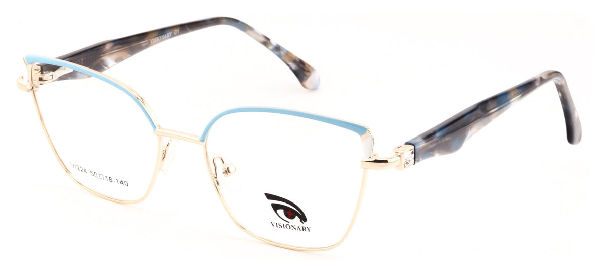 Visionary VI224
